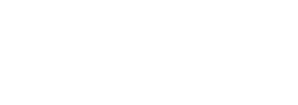 loris-sanitation-logo