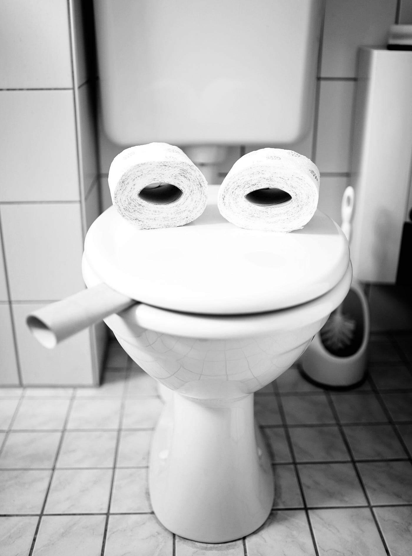 What are Toilet Businesses? 