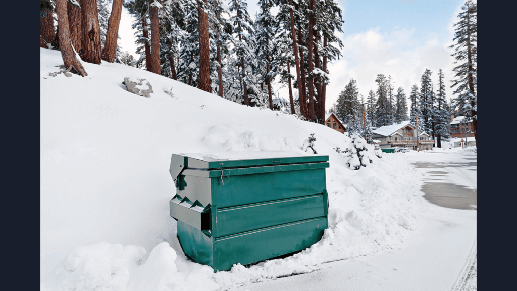 The Impact of Seasonal Changes on the Dumpster Rental Industry